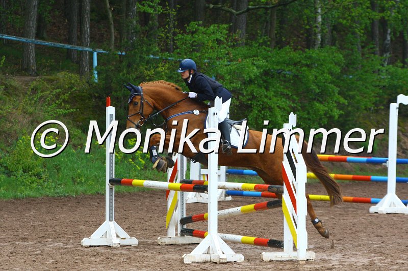 005L4815_Elvis_Spring  Ax.JPG